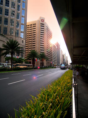 Ayala Ave