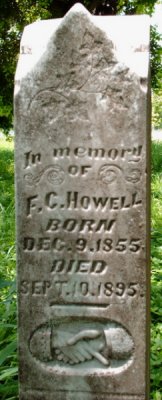 Howell DNA Surname Project - 1075