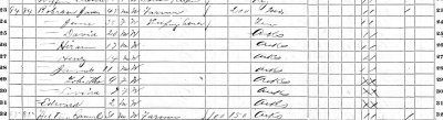 James Roberson 1870 Polk Co AR Census