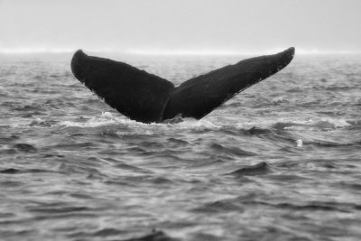 IMG_3417-Edit.jpg