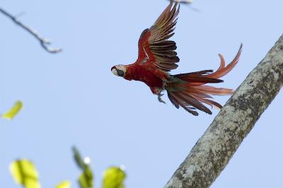 pbase DSC_1634.jpg