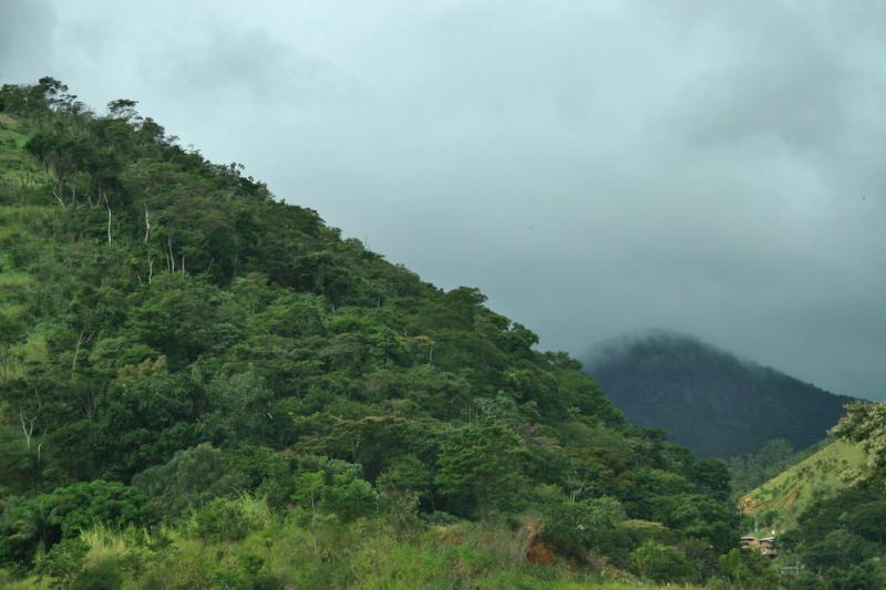 BRESIL-2006.PETROPOLIS.019.jpg