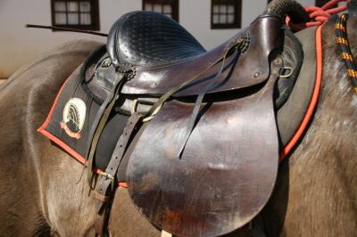 13.BRESIL 2006.TIRADENTES_22.JPG