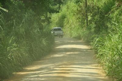 g4/83/462483/3/60503543.BRESIL2006.PARATI.077.jpg