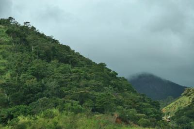 g4/83/462483/3/60589099.BRESIL2006.PETROPOLIS.019.jpg