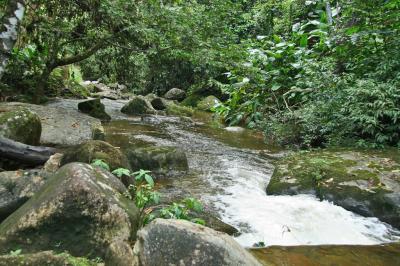 g4/83/462483/3/60602832.BRESIL2006.PETROPOLIS.033.jpg