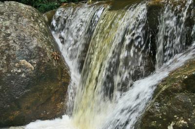 g4/83/462483/3/60602834.BRESIL2006.PETROPOLIS.034.jpg