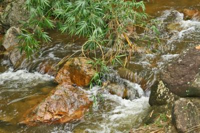 g4/83/462483/3/60602837.BRESIL2006.PETROPOLIS.036.jpg