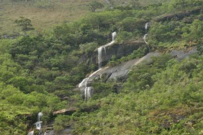 g4/83/462483/3/60602854.BRESIL2006.PETROPOLIS.044.jpg