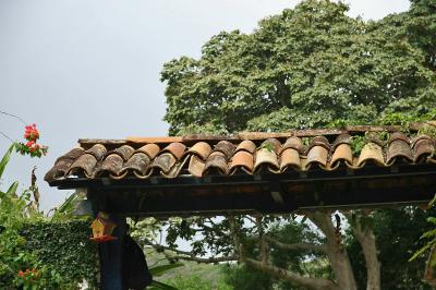 g4/83/462483/3/60856898.PETROPOLIS.FAZENDASANTANA.055.jpg