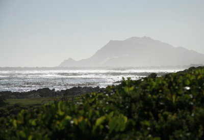 CAPE TOWN PENINSULA WEST COAST.0010.JPG