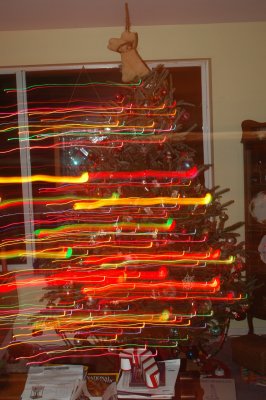 DSC_4911.JPG