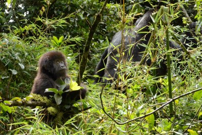 Hirwa Infant and Dad 2011