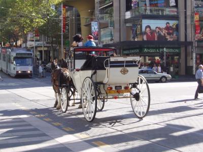 Horse and Carriage about to cross Elizabeth Street