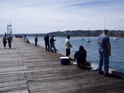Fishing from the Mornington Pier