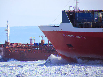 la proue de lOceanex Avalon