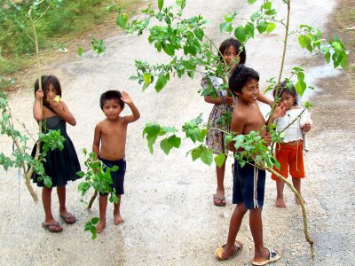 Enfants mayas