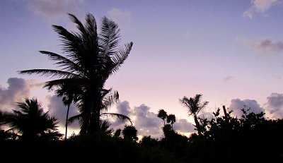 Matin avec une touche de mauve