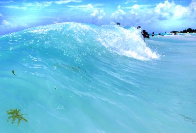 La vague