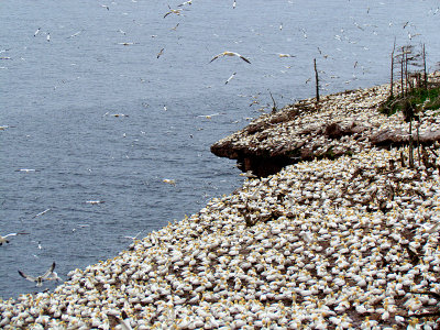 g4/83/550183/3/135861326.aDKBf4c4.jpg