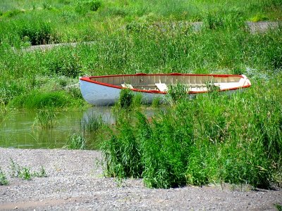 la barque