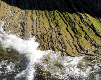 PARC FORILLON