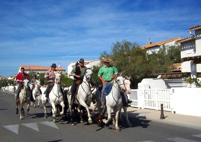 Camargue