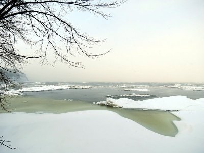 g4/83/550183/3/141496809.qcQA8zT6.jpg