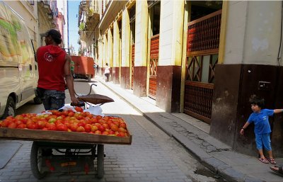 Livreur de tomates