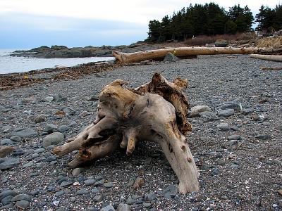 g4/83/550183/3/59140135.PlagedeMtis.jpg