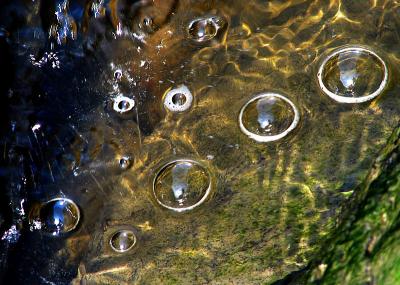 g4/83/550183/3/60609967.lesbulles.jpg