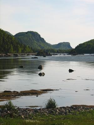 g4/83/550183/3/62429955.MetoQN1b.jpg