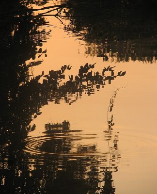 Chantilly, reflet cuivr sur lOise