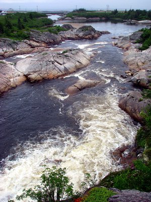 g4/83/550183/3/90682885.P0MmB58x.jpg