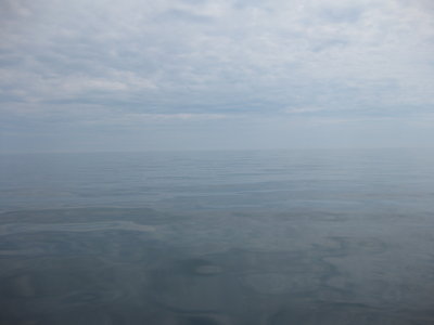 landscapes
