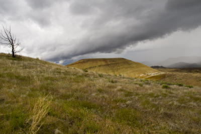 Looming Rain