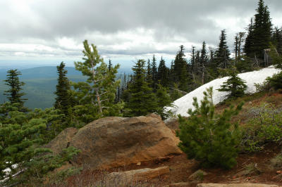 Snow Patch