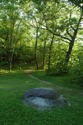 DSC_5222.JPG