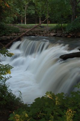 DSC_5227.JPG