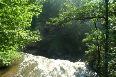 DSC_5237.JPG