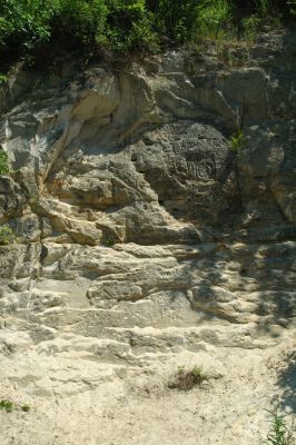 DSC_5260.JPG