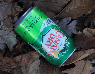 Canada Dry