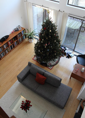 Christmas tree I