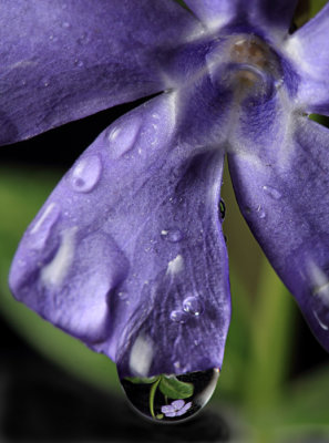 Rain Drops II