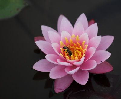 g4/83/573983/3/145814555.KZafyU0u.jpg