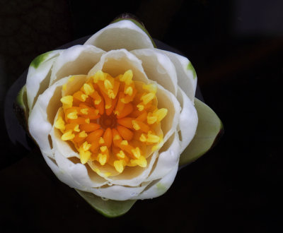 g4/83/573983/3/145873675.1sX6fJtd.jpg