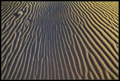 Sand - Fingerprint