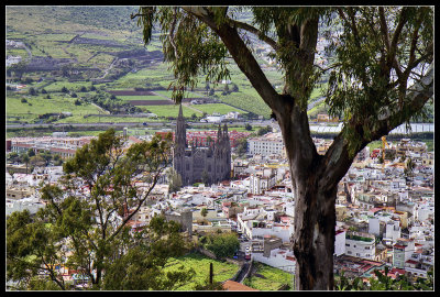 Town view from Montaa de Arucas