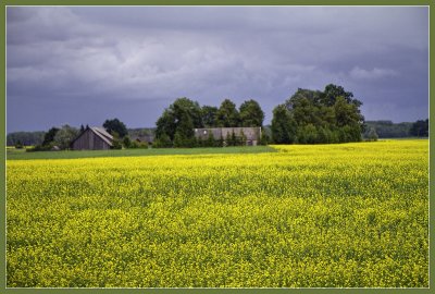 Lithuanian Countryside