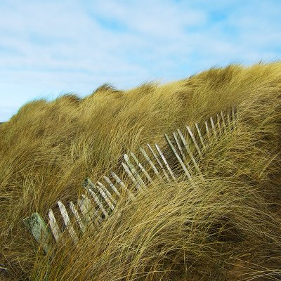 Fraserburgh dunes